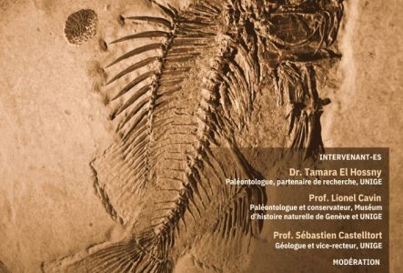 Affiche de l'avant-première, comprenant une photo d'un poisson fossile et les informations utiles de l'événement.