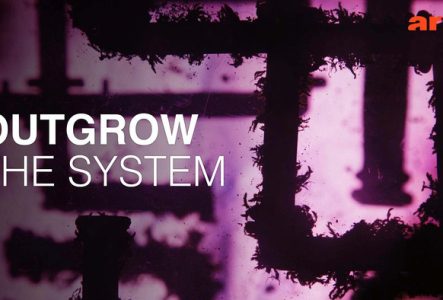 Outgrow the System