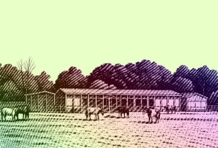 Photo colorée de La Gavotte
