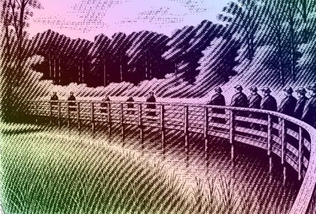 Photo colorée au Bois des Douves