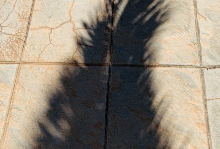 DR Une personne sur scène dont l'image est projetée sur le fond de scène, l'image est fortement déformée.