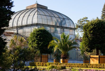 Le Jardin d'hiver