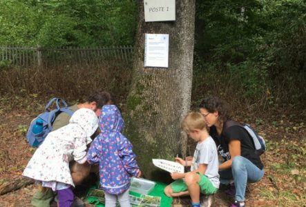 rallye nature famille