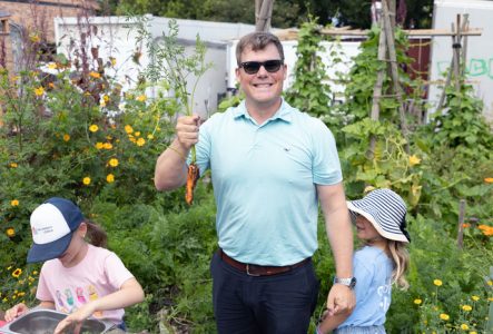 Récolte et cuisine au potager