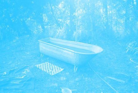 C'est la photo d'une baignoire abandonnée dans une fôret. La photo a un filtre de couleur.