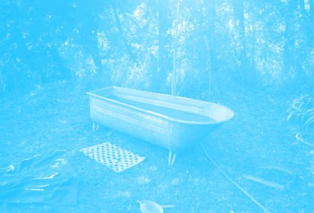 C'est la photo d'une baignoire abandonnée dans une fôret. La photo a un filtre de couleur.