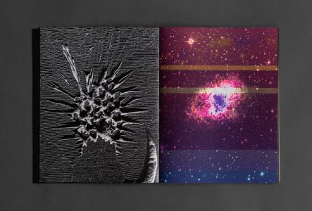 Photographie du livre ouvert "Ephemeris" de l'artiste Olga Cafiero