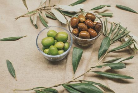 Olives et brins d'oliviers