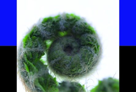 Affiche de l'exposition avec une oeuvre sur un fond bi-color