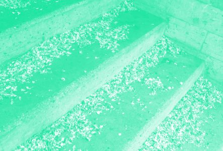 Des escaliers remplies de petales de fleurs tombés. La photo a un filtre de couleur.