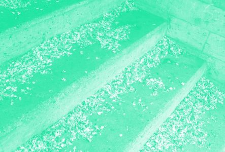 Des escaliers remplies de petales de fleurs tombés. La photo a un filtre de couleur.