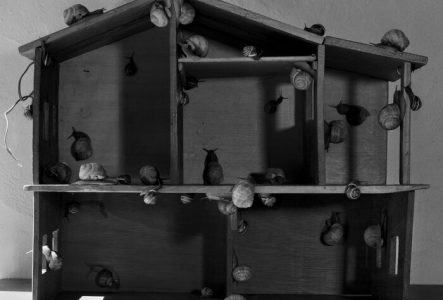 Hess & Polli Escargots qui se baladent dans une maquette de maison