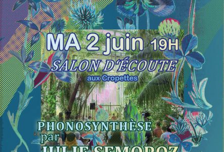 flyer du salon d'ecoute avec julie semoroz