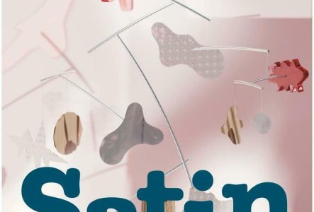 Jérémy Bruyère Affiche d'informations sur le spectacle Satin avec une image d'un jouet reflecteur de lumière pour enfant.