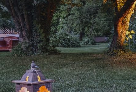 Une lanterne posée sur l'herbe et deux arbres et un fauteuil au 2ème plan