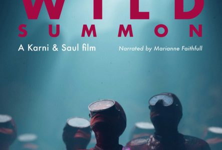 ©SulkyBunny Affiche de Wild Summon, court métrage d'animation. Des silhouettes de plongeurs et plongeuses, un rai de lumière bleue les éclaire.