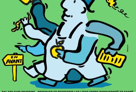 Sur un fond vert, un personnage de bleu vêtu avec chapeau, ayant de multiple jambes et bras portant document, arrosoir, pomme et lombric, se dirige vivement comme l'indique un panneau "en avant, à l'image du chemin à suivre pour prendre soin de la biodiversité. Dessous est inscrit : Balade exploratoire : observer et ressentir les liens entre biodiversité et santé mentale. Un temps commun pour échanger autour de nos perceptions… ainsi que le lieu de rdv (Villa Freundler, Place Saint-François 4,…