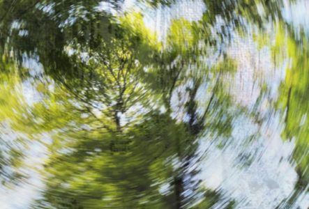 S'enforester- Introduction à la scénographie