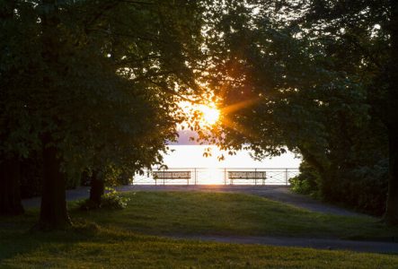 DR Image d'un banc au Parc de la Perle du Lac, au lever du jour