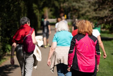 Frederic Laverriere PLUSIEURS PERSONNES MARCHANT DANS UN PARC