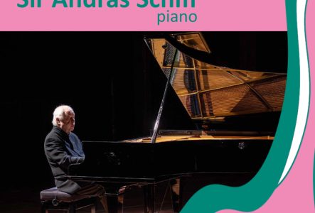 Sur fond rose, Sir Schiff jouant du piano