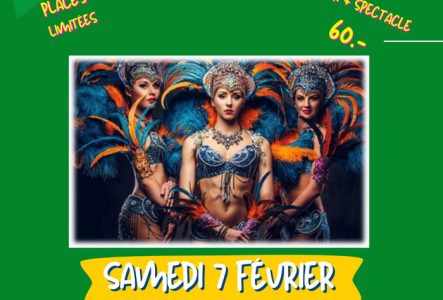 Groupe de danse brésilienne