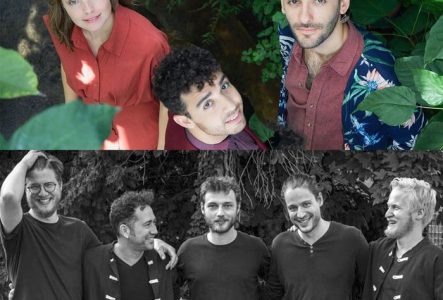 Je vois les deux groupes de musiciens