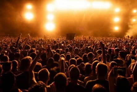 prepro Drazen Zigic Une foule devant un concert
