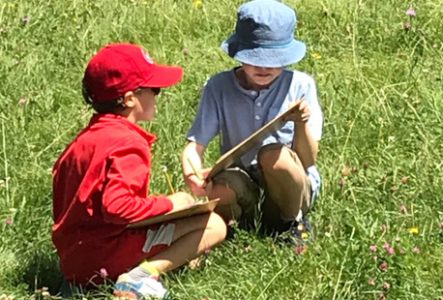 enfants dessin nature