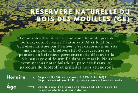 Antonin Kummer Marais du bois des Mouilles