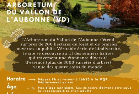 Antonin Kummer Lac et arbres aux couleurs d'automne