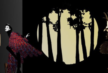 Plume et la mésange