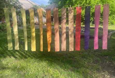 Réalisation de teintures naturelles à partir des plantes du jardin