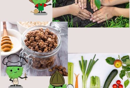 mains d'enfants entrain de planter une plante dans la terre - pot en verre avec un mélange de granola - légumes dans la terre - Festi'Terroir au parc des Bastions du 28 au 30 août