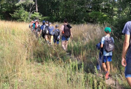 excursion moulin de vert