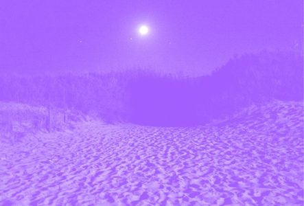 Une plage on voit le sable et la lune avec des arbres au fond. La photo a un filtre couleur.