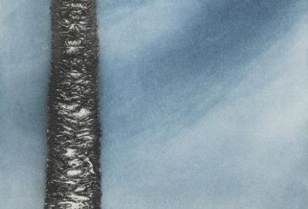 Homme assis sous un arbre sur un chemin de montagne