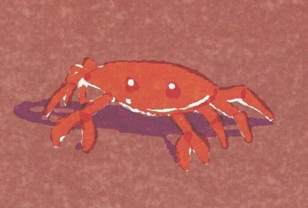 Image du livre "le secret du clan"