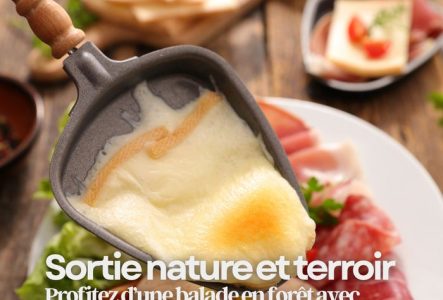 Sortie nature et terroir