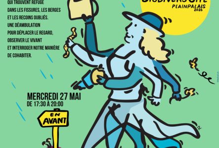 Un personnage androgyne va de l'avant, portant arrosoir, fleur et lombrics d'un bon pas, tout cela sur un fond vert clair. Avec un soleil dans lequel est inscrit le nom du Collectif BiodiversCité Plainpalais agrémenté de quelques gouttes de pluie. Ensuite, il y a toute les informations qui expliquent succinctement la proposition de rencontre avec La libellule.