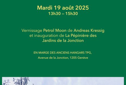 Une image représente des arbres plantés récemment, en milieu urbain, a proximité des anciens couverts qui abritaient une partie de la flotte de bus des Transports publics Genevois à la Pointe de la Jonction. Dans la seconde image le bitume qui constituait le sol a été arrangé de manière graphique et verticale, faisant penser a une chaîne de montagne ou un paysage de décombres, la création est présentée comme un Jardin minéral.