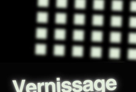 Vernissage de l'exposition "Stitches"