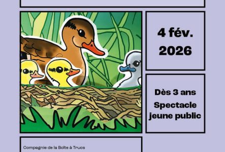 Image de plusieurs petits canards dans un nid entourés d'une cane.