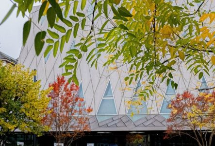 Fleurs blanche du jardin du MEG au premier plan. On voit le bâtiment du MEG au deuxième plan. Vue printanière du Jardin.