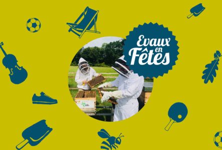 Rucher et abeilles