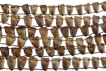 © MEG /J.Watts Détail d'un instrument de musique. Des petites cordes où sont enfilées des éléments végétaux, comme des cordes à linge, Il y a 6 rangées sur l'image.