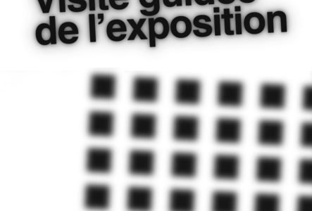 Visite guidée de l'exposition "Stitches"