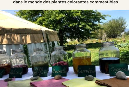 un jardin une table une yourte des pots avec du liquide coloré des tissus colorés