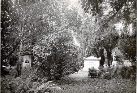 © Bibliothèque de Genève Le cimetière des rois à Genève, photo en noir et blanc