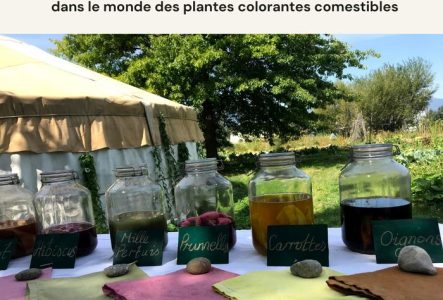un jardin, une yourte, des bocaux et des tissu colorés avec les légumes du potager